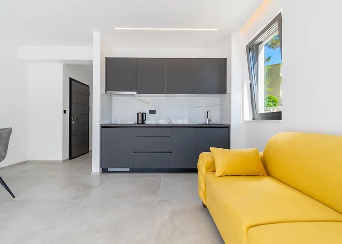 Pino 1 바스카보다